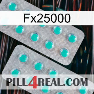 Fx25000 29